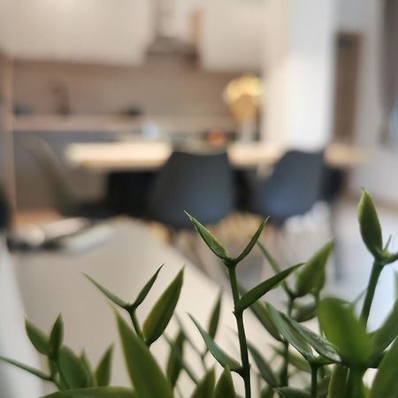 Apartma Bella Nadiza Kobarid Ngoại thất bức ảnh