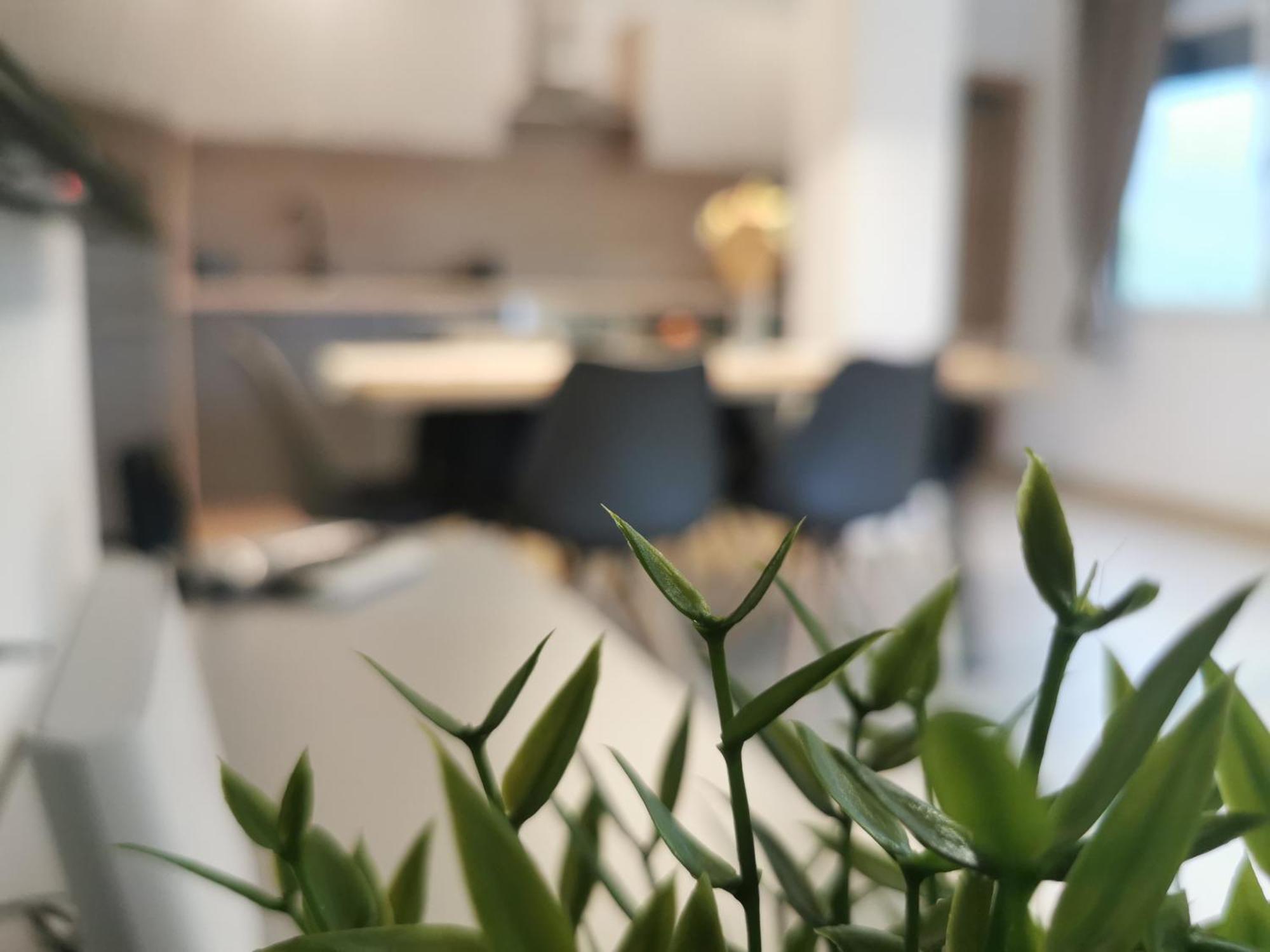 Apartma Bella Nadiza Kobarid Ngoại thất bức ảnh
